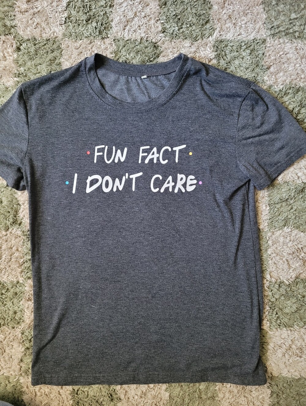 Womens Gray Graphic Tee - "Fun Fact I Don't Care"